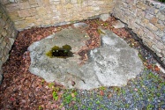 4 new images added to The Wart Stone (Dublin)